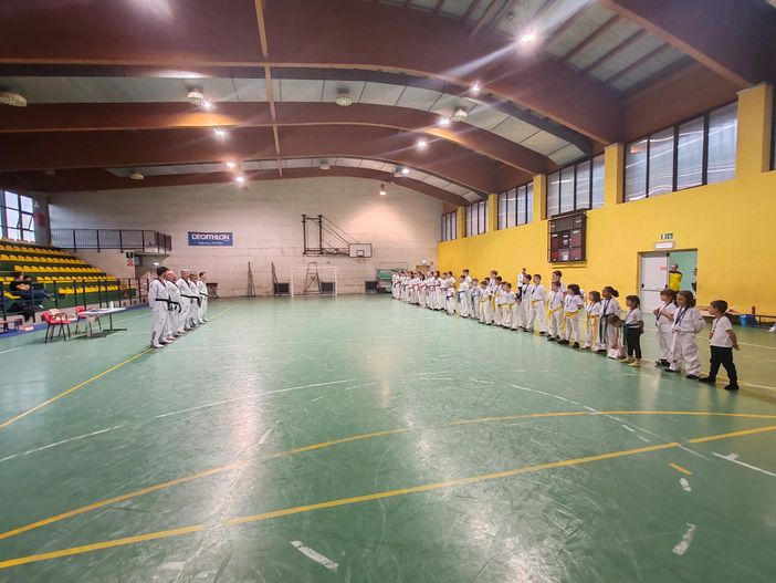 Taekwondo Gattinara: sport, passione e formazione per i giovani atleti