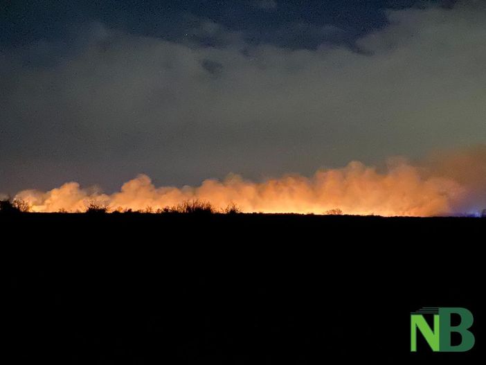 Incendio in Baraggia biellese - Foto Pisani per newsbiella.it