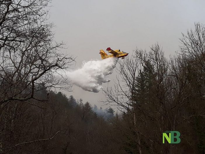 Canadair in azione sull'Artogna Canadair in azione sull'Artogna