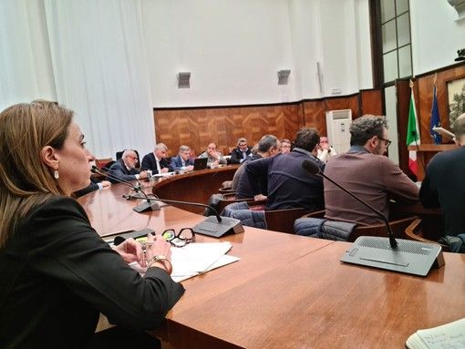 Tavolo Lear, Chiorino: “Formazione e Accademie, non lasceremo soli i lavoratori e le loro famiglie”.