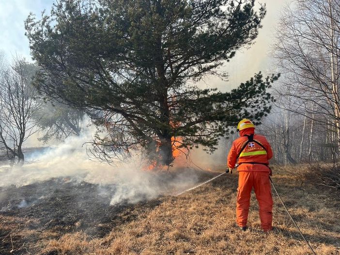 Incendio nel biellese all'Alpe Cavanna, alcune cascine evacuate nella notte
