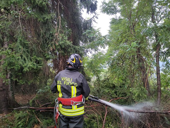 Paura a Pray, un fulmine colpisce in pieno un pino vicino alla chiesa di Flecchia