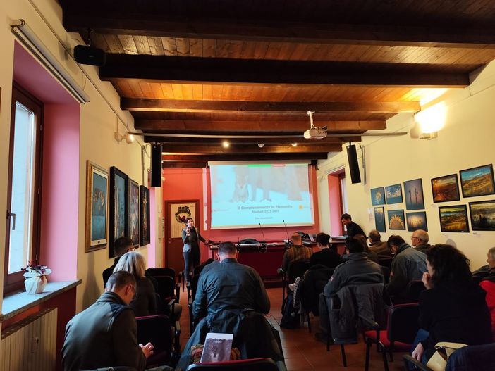 Monitoraggio del lupo, workshop a Gattinara: prosegue il lavoro regionale dopo il progetto WolfAlps EU