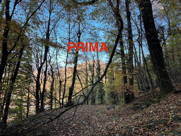 La squadra Aib di Quarona ripulisce la mulattiera di Valmaggiore: un esempio di impegno per il territorio