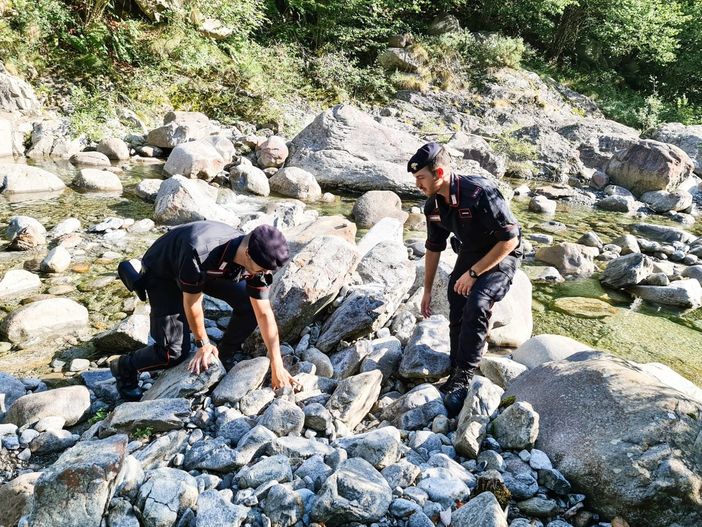 Giallo di Postua, ritrovate solo ossa animali FOTO - VIDEO Giallo di Postua, ritrovate solo ossa animali FOTO - VIDEO