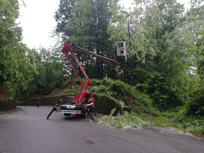 Maltempo, 15 interventi dei Vigili del Fuoco di Ponzone per alberi caduti in strada FOTO Maltempo, 15 interventi dei Vigili del Fuoco di Ponzone per alberi caduti in strada FOTO