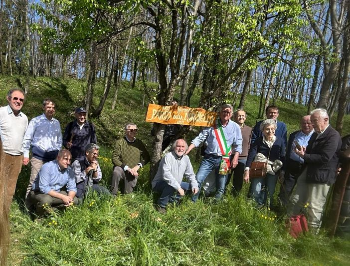 Varallo in Fiore, due giorni dedicati alle morchelle tra Parone, Quarona e Villa Virginia Varallo in Fiore, due giorni dedicati alle morchelle tra Parone, Quarona e Villa Virginia