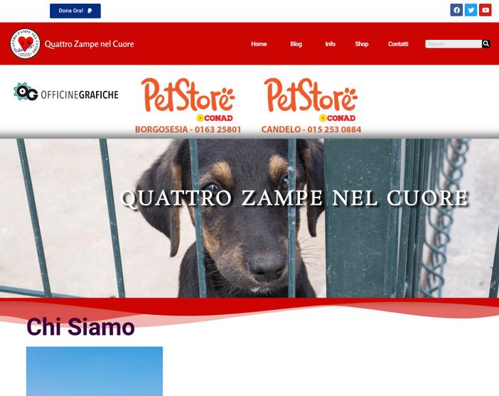 Gattinara, Il canile di Cascina Porta compie 20 anni. Per festeggiare, un libro, un nuovo sito web e nuovi partners!