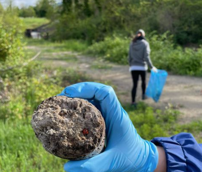Quarona, volontari in azione per ripulire le sponde del Sesia - FOTO
