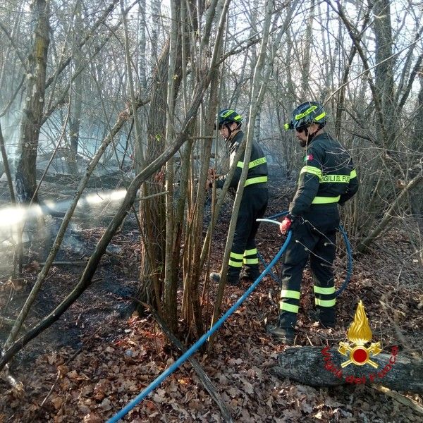 Incendio tra Rovasenda e Roasio: Vigili del Fuoco e Aib domano il rogo Incendio tra Rovasenda e Roasio: Vigili del Fuoco e Aib domano il rogo