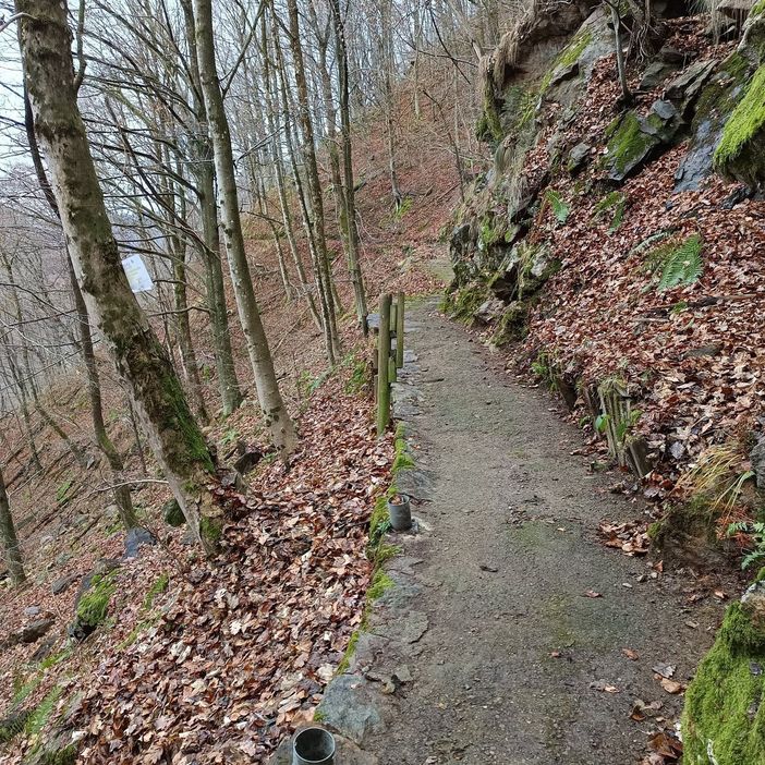 Manutenzione dei sentieri: interventi tra Torno e Roy di Fobello in Val Mastallone
