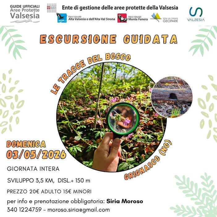 Grignasco, escursione guidata alla scoperta delle tracce del bosco Grignasco, escursione guidata alla scoperta delle tracce del bosco