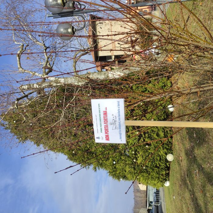 "Non porta fortuna": cartello a Lozzolo contro le deiezioni canine "Non porta fortuna": cartello a Lozzolo contro le deiezioni canine