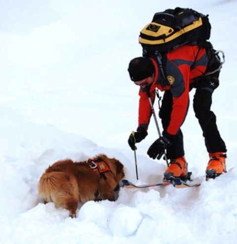 Valanghe: allerta distacchi, il Soccorso Alpino richiama alla massima prudenza Valanghe: allerta distacchi, il Soccorso Alpino richiama alla massima prudenza