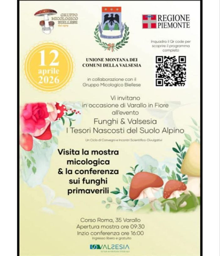 A Varallo una mostra micologica e una conferenza sui funghi primaverili per “Funghi & Valsesia” A Varallo una mostra micologica e una conferenza sui funghi primaverili per “Funghi & Valsesia”