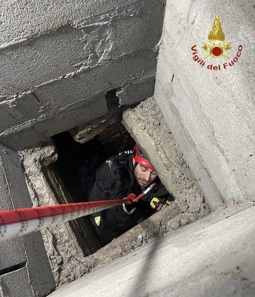 Discesa nel pozzo per salvare un cane intrappolato Discesa nel pozzo per salvare un cane intrappolato