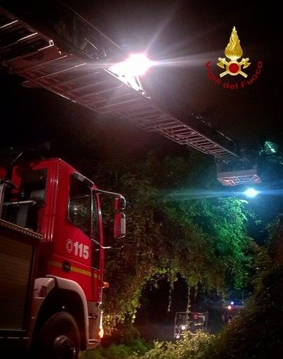 Borgosesia: Pianta su linea elettrica, Vigili del Fuoco al lavoro