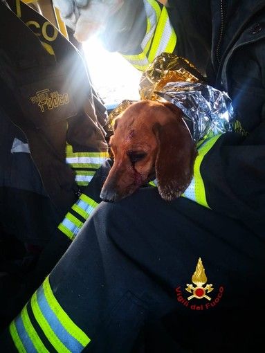 Ferito e incastrato in un tubo: salvato dai Vigili del Fuoco