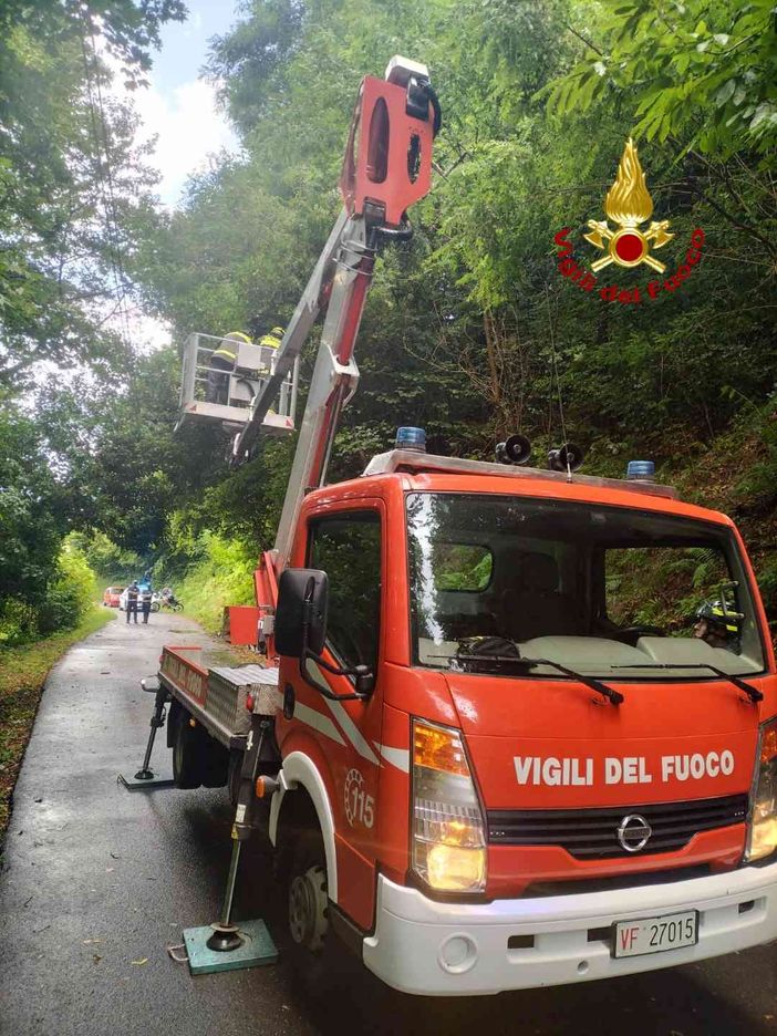 Alberi pericolanti in Valsesia, intervengono i Vigili del fuoco. Alberi pericolanti in Valsesia, intervengono i Vigili del fuoco.