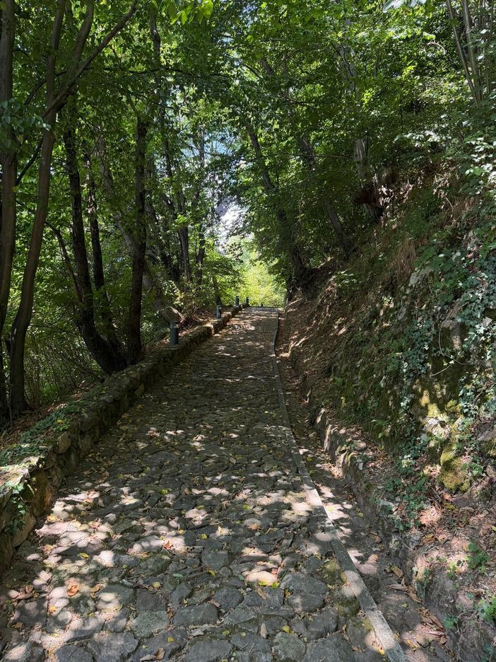 Quarona, la Festa di San Giovanni al Monte rinnova una tradizione di comunità Quarona, la Festa di San Giovanni al Monte rinnova una tradizione di comunità