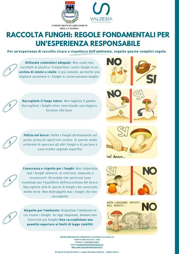 Unione Montana Valsesia: il vademecum per raccogliere funghi in sicurezza e nel rispetto dell'ambiente Unione Montana Valsesia: il vademecum per raccogliere funghi in sicurezza e nel rispetto dell'ambiente