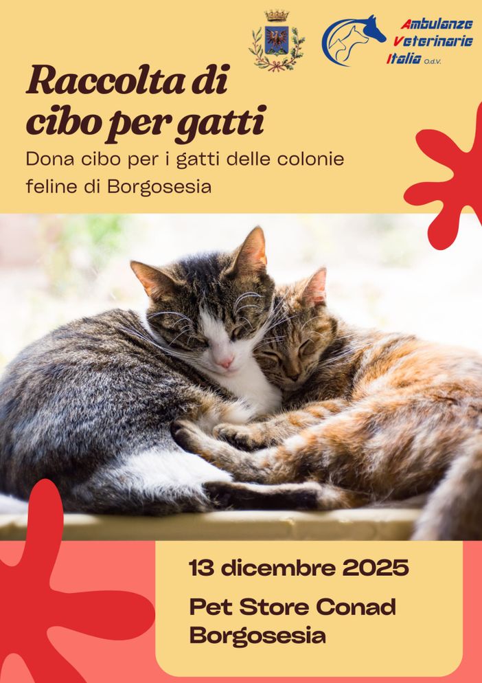 Un Cuore Caldo per i Mici di Borgosesia: Grande Raccolta Cibo al Conad