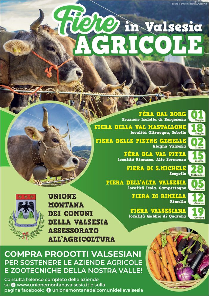 Valsesia: Fiere zootecniche del 2025 Valsesia: Fiere zootecniche del 2025