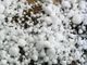 Allerta gialla per temporali, rischio grandine anche a Biella (foto di repertorio) Allerta gialla per temporali, rischio grandine anche a Biella (foto di repertorio)