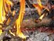 Incendi e abbruciamenti vietati in Piemonte: cosa rischi se non rispetti la legge