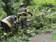 Forte vento sul Biellese, nuovi disagi: a terra piante a Miagliano e in Valsessera (foto di repertorio) Forte vento sul Biellese, nuovi disagi: a terra piante a Miagliano e in Valsessera (foto di repertorio)