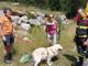 Dal nord ovest: sfugge ai padroni e precipita in un rio sul Monte Rosa, golden retriver recuperato dal'elicottero dei Vigili del fuoco