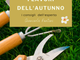 Grignasco: Scopri i segreti dell'orto, del frutteto e del giardino con Giancarlo Fantini: