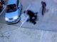 Vercelli, accoltella l'addetto alla sicurezza: caccia all'aggressore.