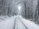 Arpa Piemonte, da domani previste nuove nevicate (foto di repertorio)