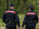 Incendi boschivi e tutela delle foreste, il Piemonte rinnova la convenzione con i Carabinieri Forestali - Immagine generata tramite ia