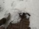 Dal caldo alla grandine: temporale a Gattinara - Foto e video Lalla Lalla