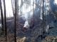 Incendi boschivi, il Piemonte aggiorna le linee guida per la prevenzione