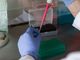 1° dicembre giornata mondiale contro AIDS: calo significativo del virus HIV in Piemonte