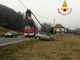 Auto finisce fuori strada e abbatte un palo della luce