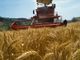 Regione, dal PNRR 26,5 milioni di euro per l’agricoltura di precisione.