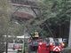 Borgosesia: alberi in bilico sopra la strada, intervenuti i Vigili del Fuoco