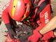 Riportato a casa dai Vigili del Fuoco di Varallo un cigno nero