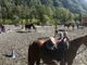 Alagna, con l'associazione Al Grup alla scoperta della valle