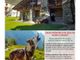 Grandi predatori in Val Sesia tra passato e presente