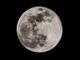 Stasera 10 gennaio lo spettacolo della prima eclissi di Luna del 2020