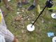 Sfida con i metal detector a Cellio con Breia