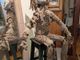A Varallo apre “Storie naturali”: a Palazzo d’Adda la mostra di Elisabetta Pellarin
