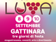 Gattinara: Tutto pronto per LUVA® 2023