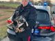La fuga di un cagnolino finisce bene; I Carabinieri lo trovano e lo riconsegnano alla proprietaria