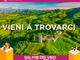 L’Enoteca Regionale di Gattinara e dell’Alto Piemonte al Salone del Vino di Torino 2026: degustazioni e masterclass sui vitigni simbolo